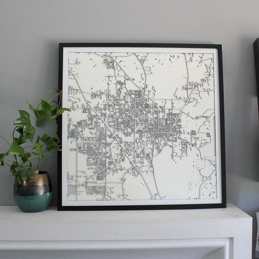 Gainesville Street Carving Map (Sold Out)